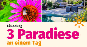 Image 3 Paradiese an einem Tag – Naturpooltag 2025